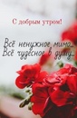 Доброе утро , Жигулёвск !